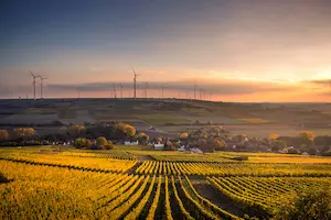 Agricultural field